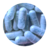 Blue Freezie MDMA Capsules