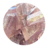 Twilight MDMA